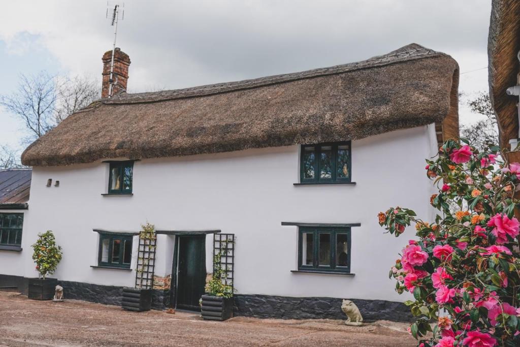 'The Cottage' (Okehampton)