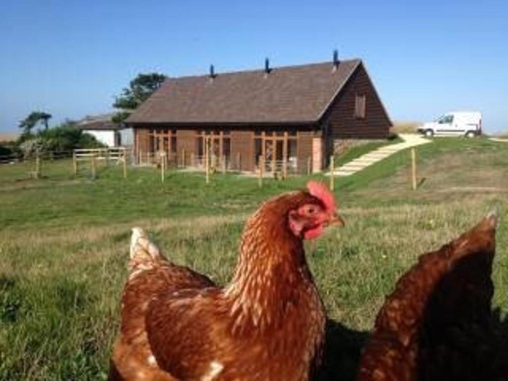 Bike Shed - Beautiful 1-Bed Cottage in Shorwell (Shorwell)