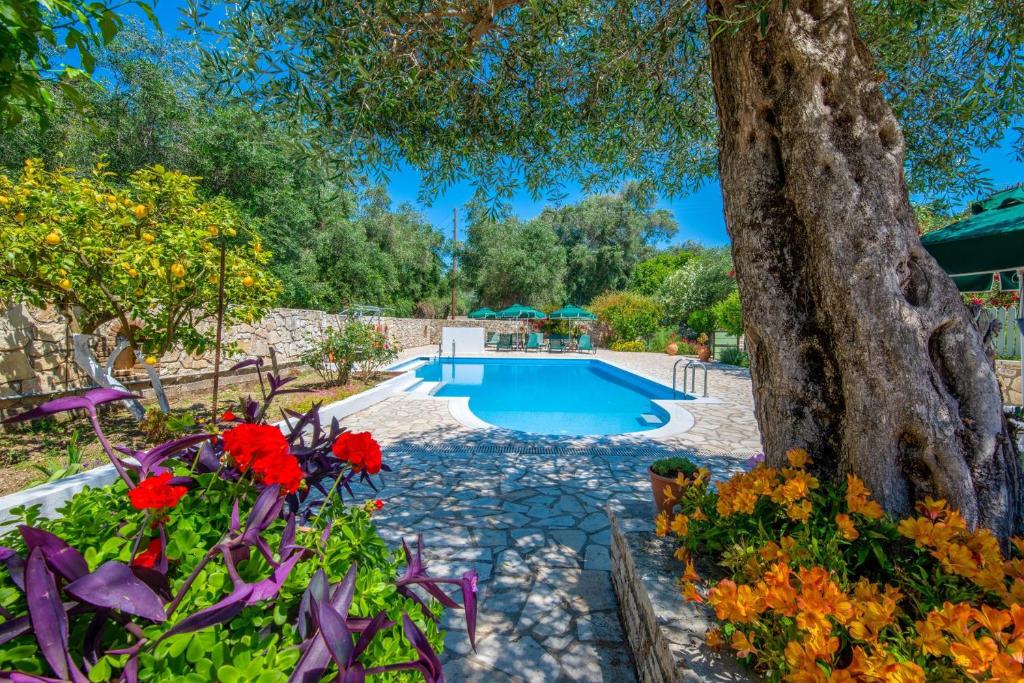 LIvadi Studios with Pool (Lákka)