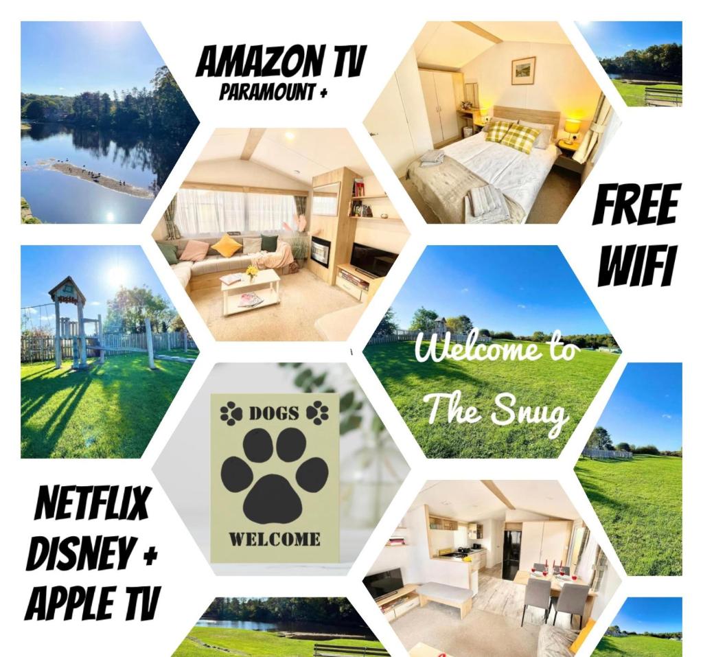 The Snug