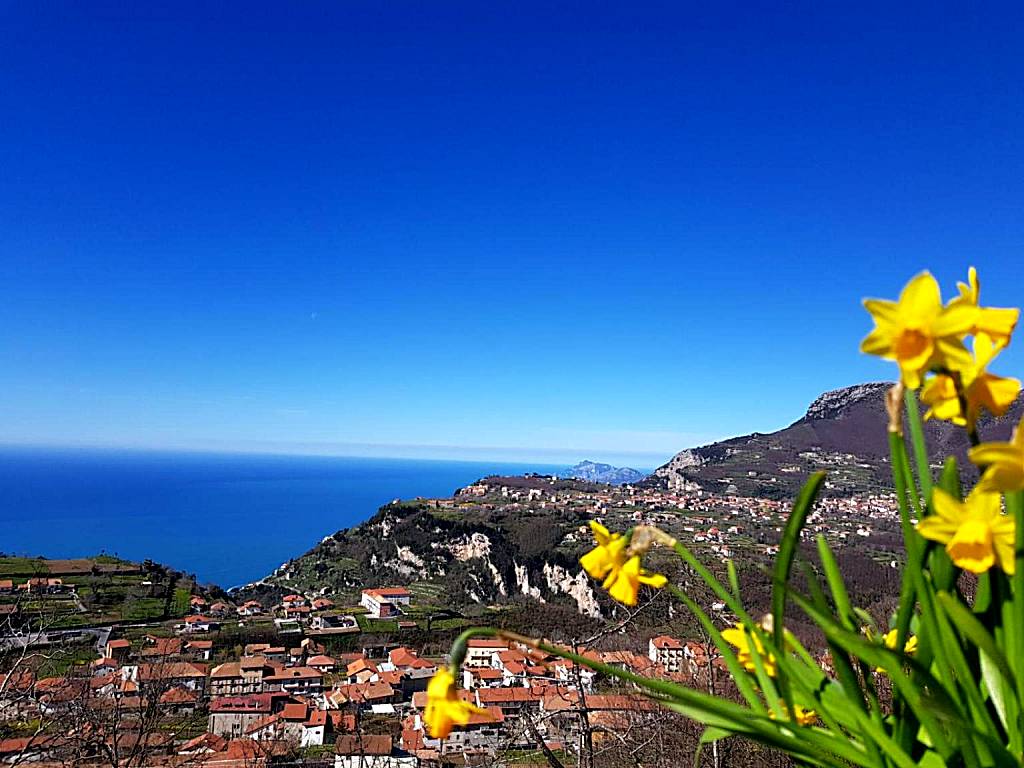 B&B Villa Reginella