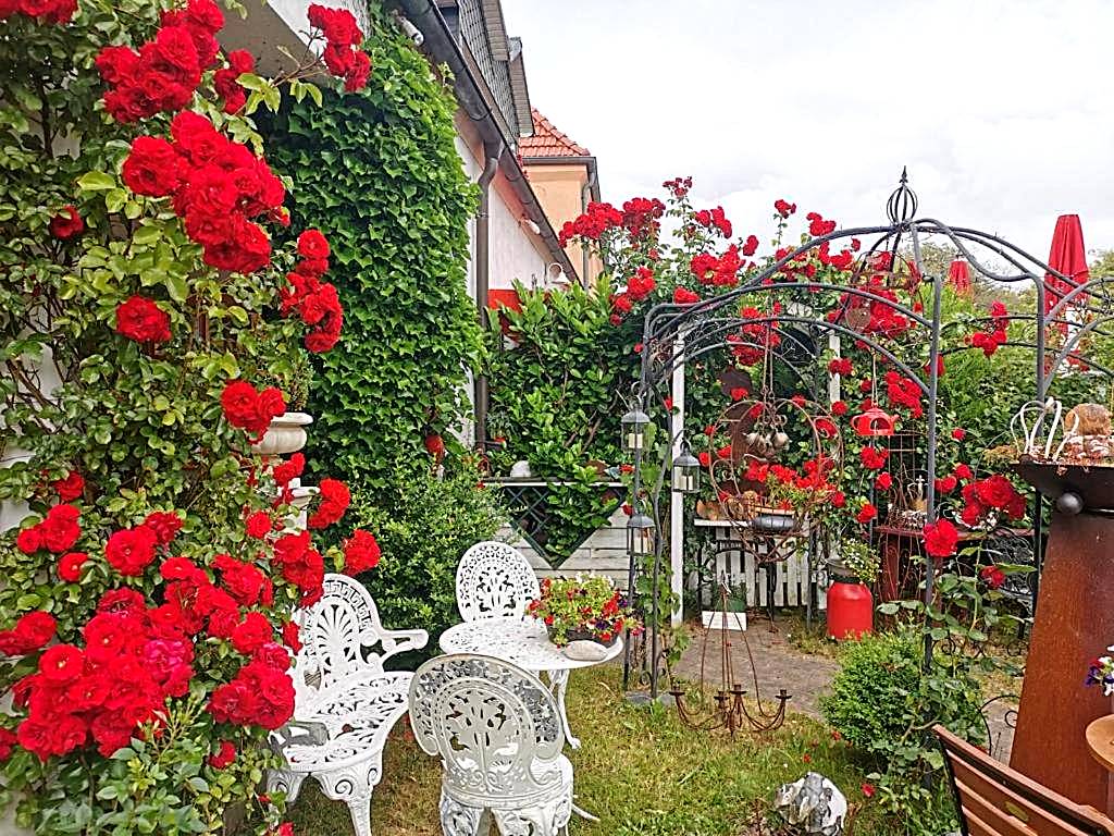 cafesahne u Pension (Dranske)