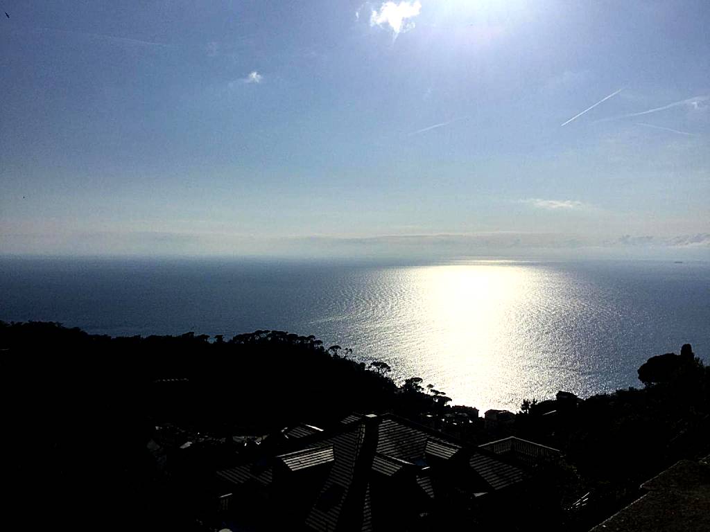 B&B Villa Orchidea