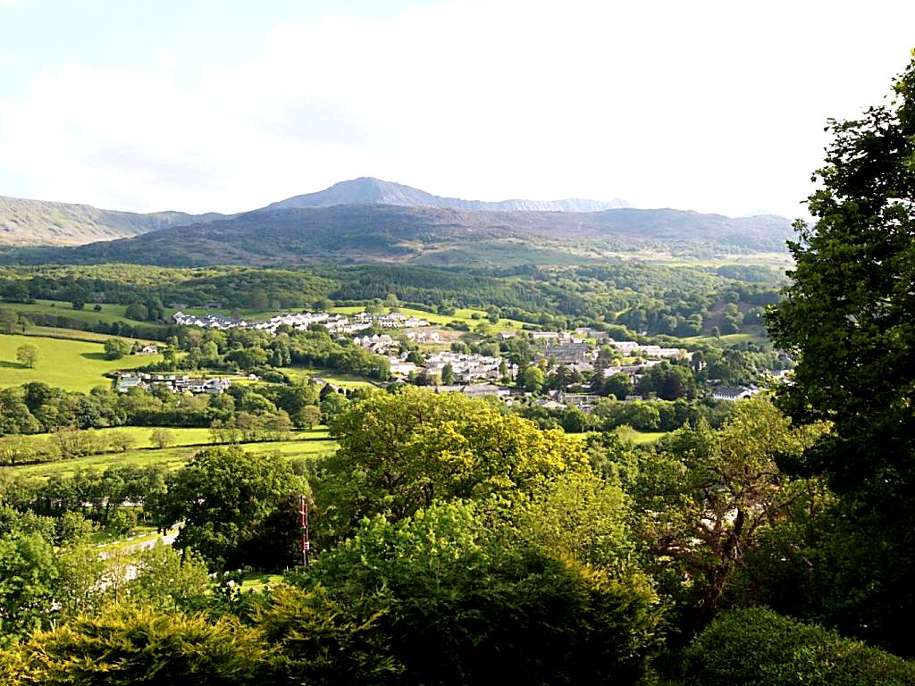 Dwy Olwyn