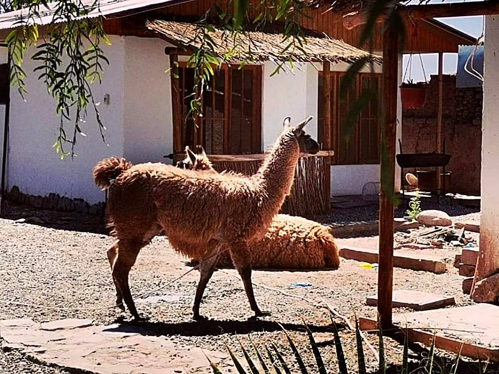 Cabañas