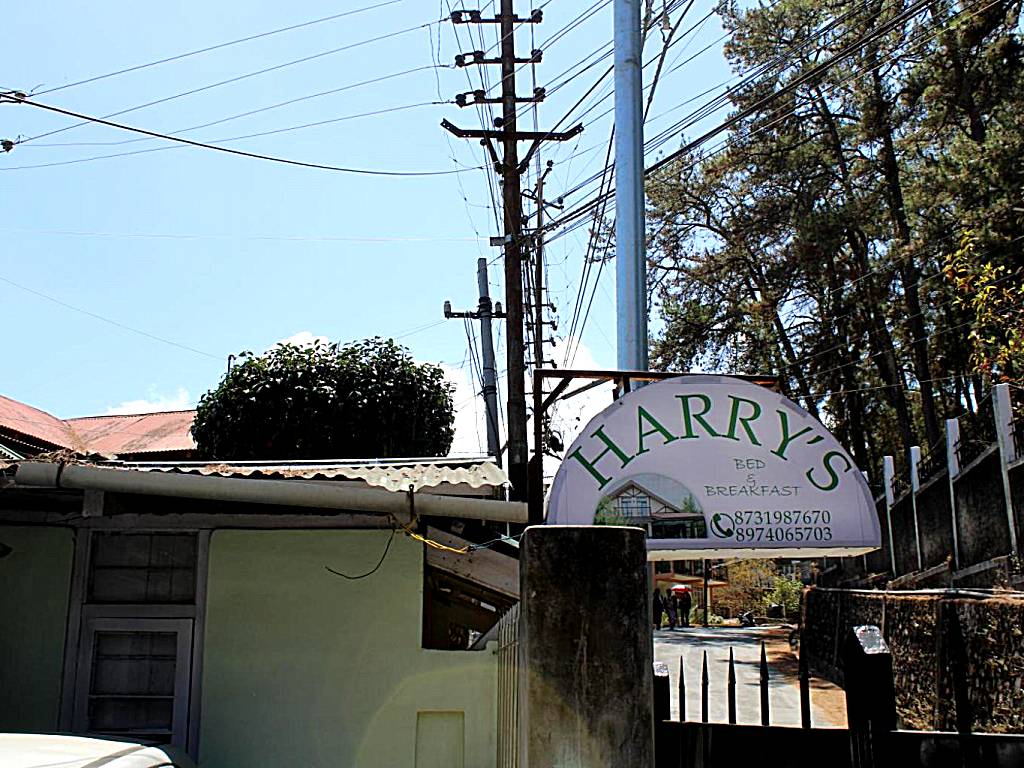 Harry's Bed and Breakfast1