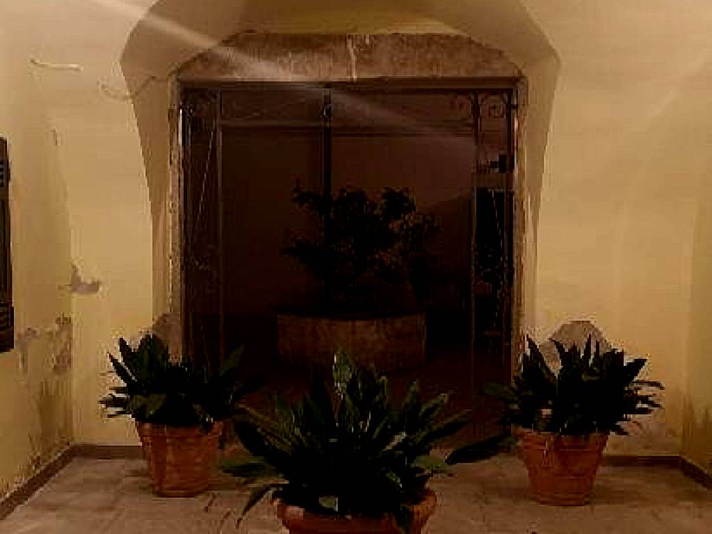 Les maisons cocó