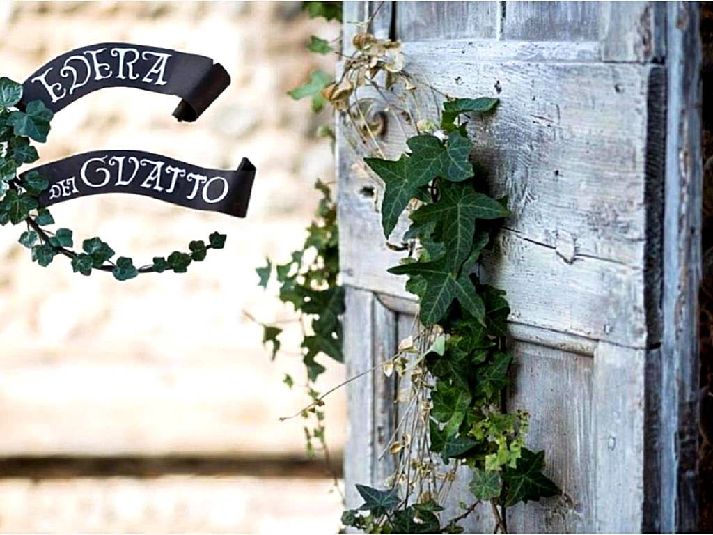 EDERA dei Guatto (Bertiolo)