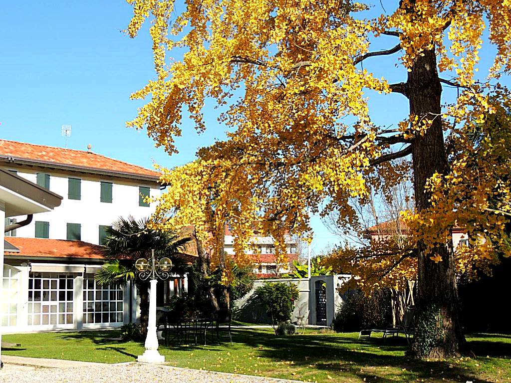 Ginkgo Guest House (Ronchis)