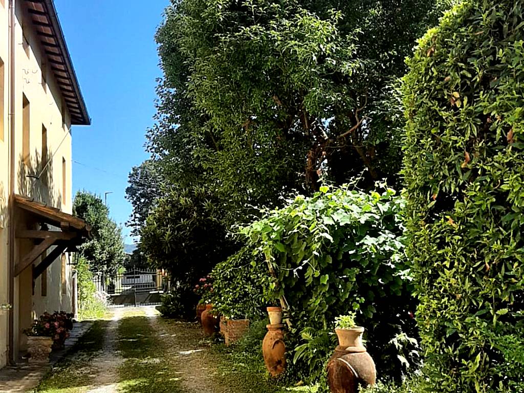 Antica Fattoria La Verdina (Camaiore)