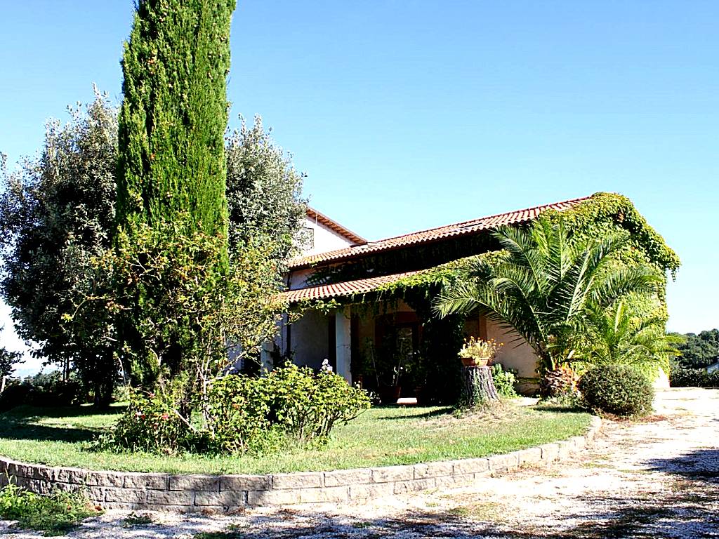 Vecchio olmo
