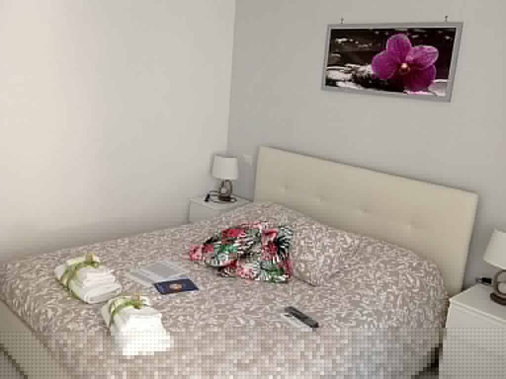 B&B La Palmetta