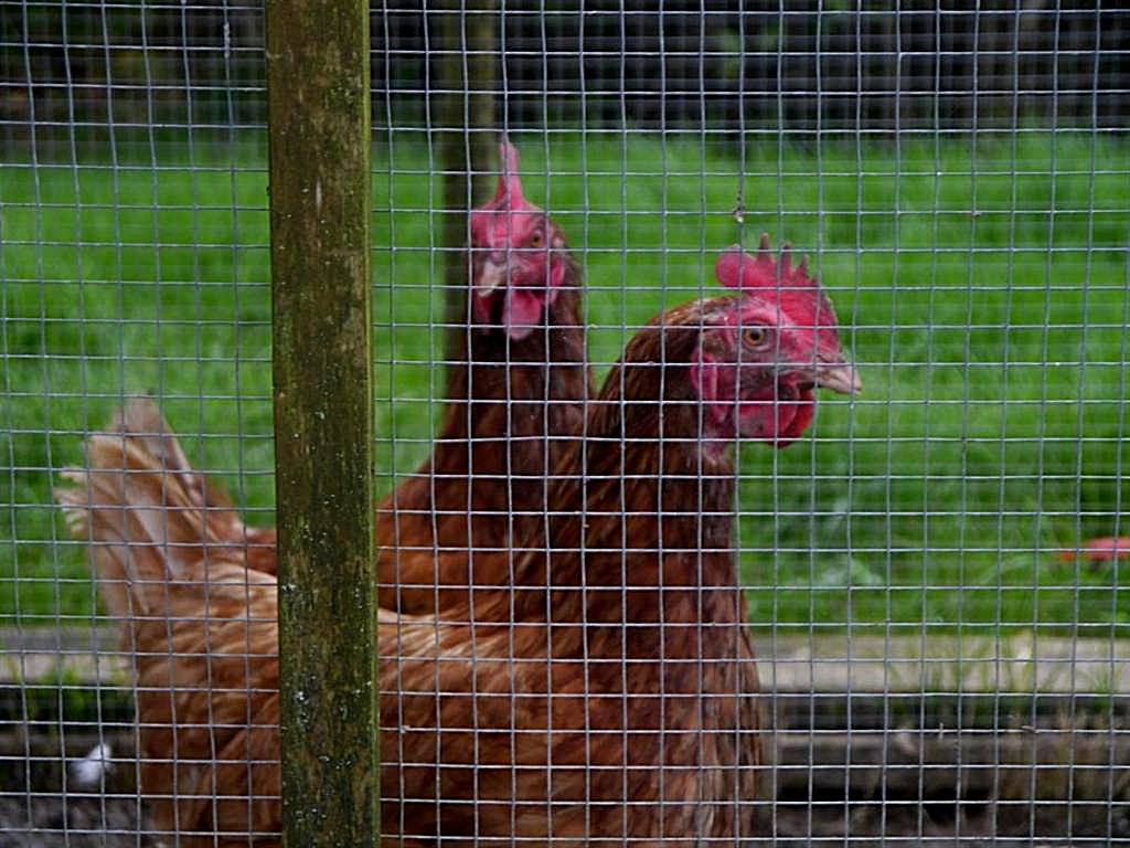 Hurst Farm B&B (Crockham Hill)