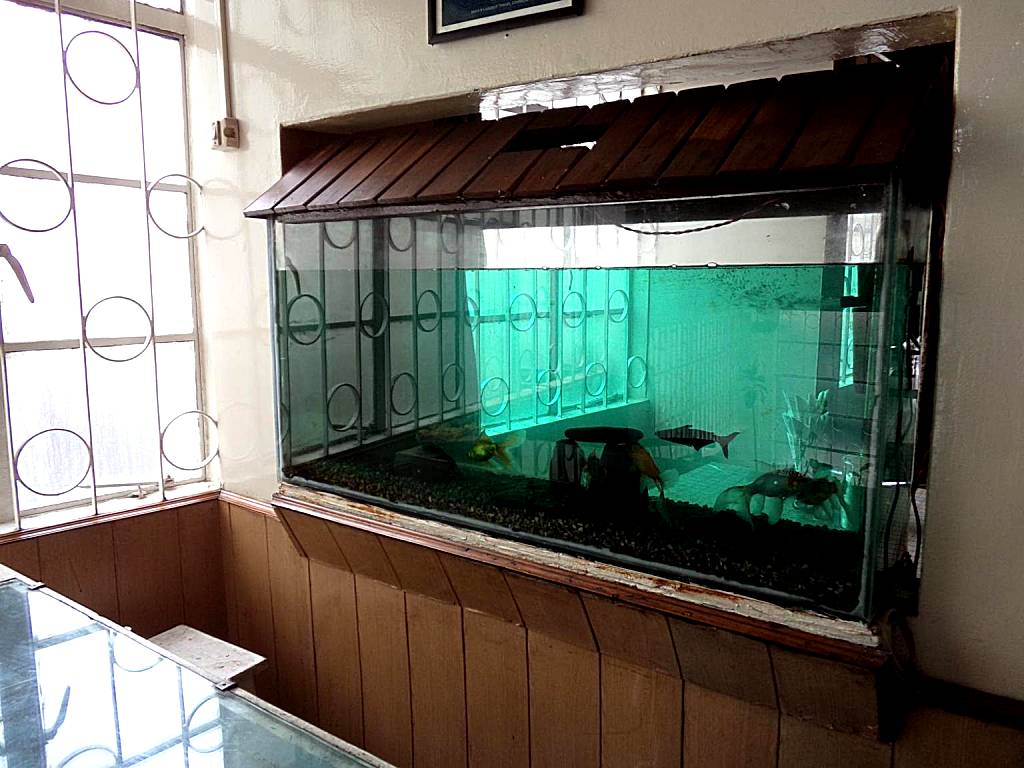 Hotel Embassy: Basic Triple Room