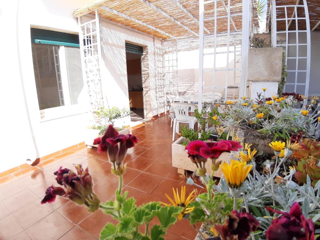 Spiagge Del Salento Apartment