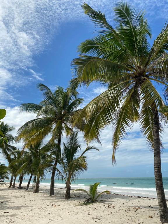 Beachfront Studio-Waves & Wanderlust Haven