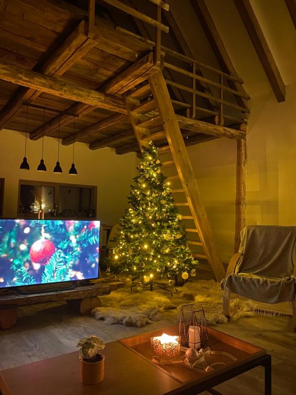 Scrind 11 - Madleine Chalet