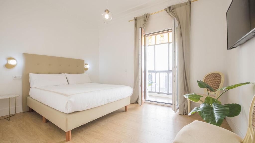 Apartamentos Boutique Puerta de Reyes