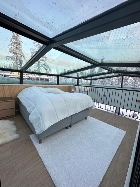 Levi Aurora Sky