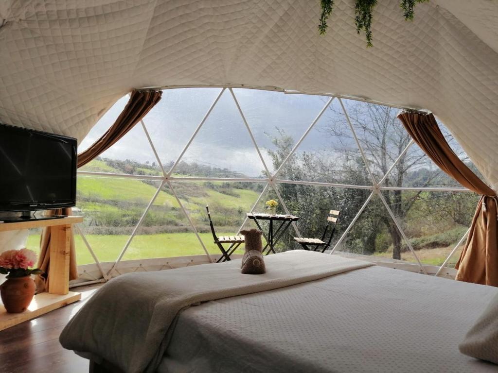 Glamping Quintana