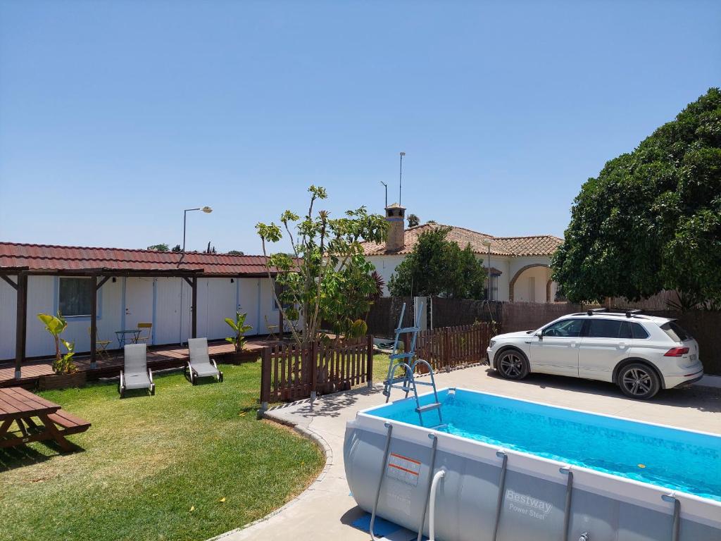 Single Fin Conil