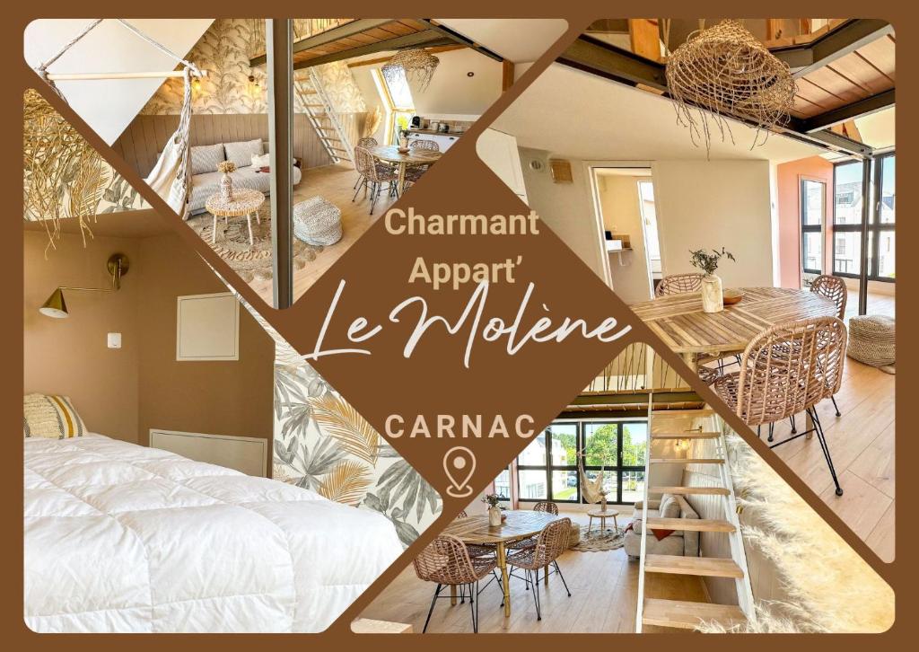 Les Voiles - Appart'hotel "Le Molène"