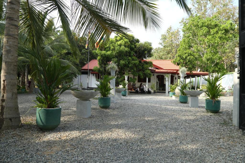 Nima villa