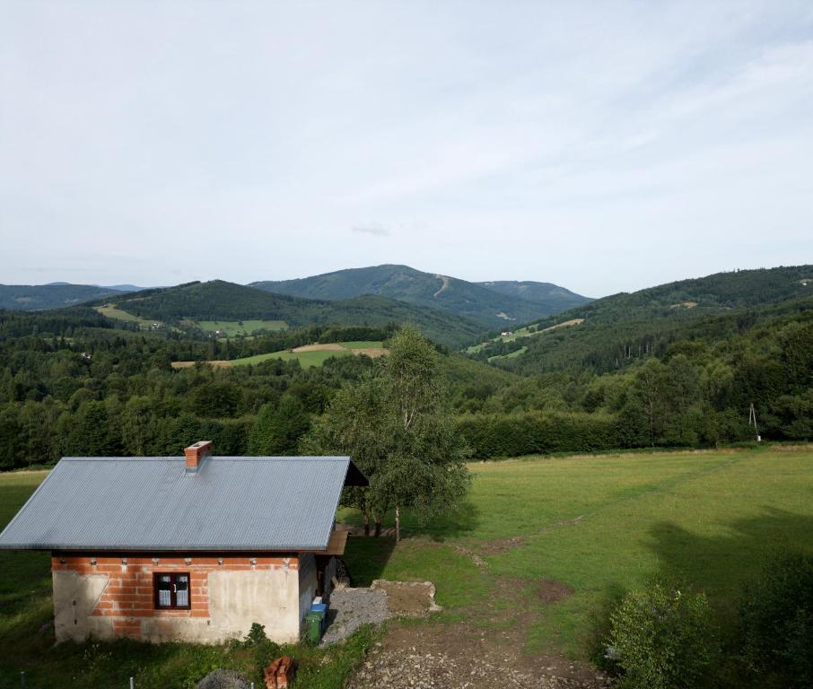 Magiczne Wzgórze