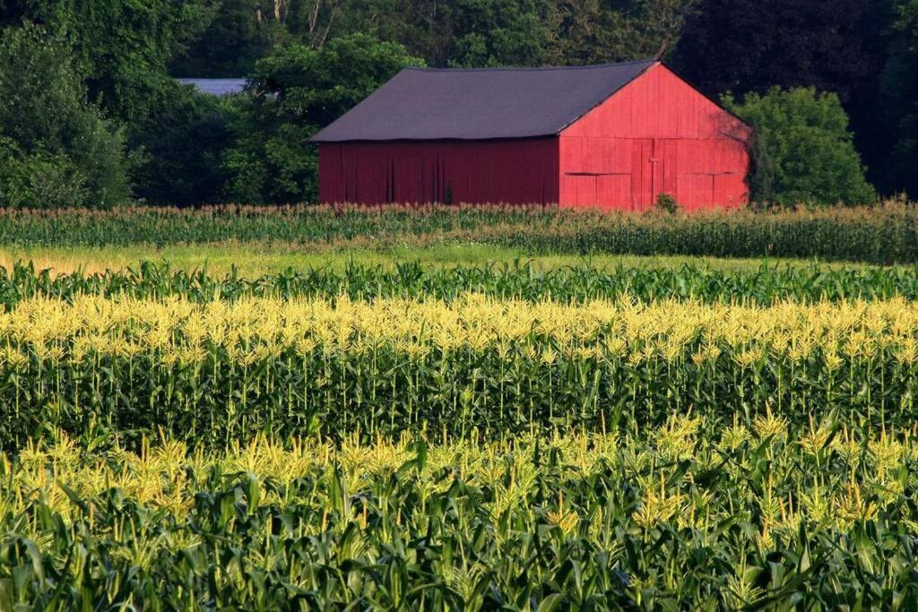 Amherst Country OASIS Perfect Location UMass