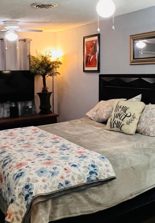 Pet friendly hippie hideaway